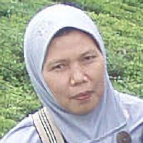 Ir. Sri Rahayu, M.Si